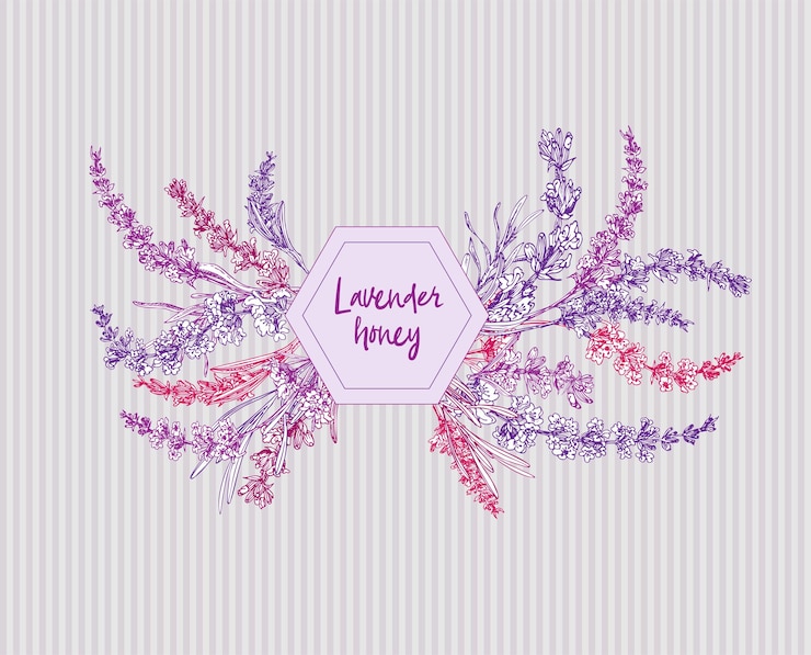 Vetor buquê de esboço de cor desenhado à mão de flor de lavanda e arcos bonitos isolados em fundo cinza frança provence padrão retrô para o conceito de design romântico fresco lavanda natural
