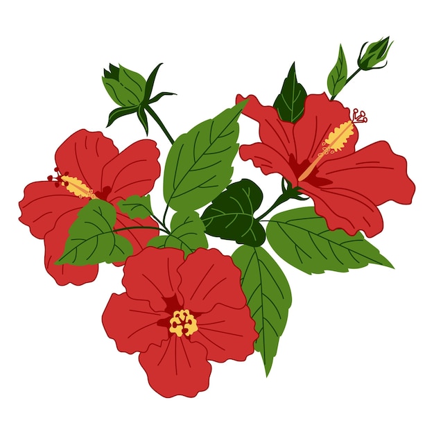 Buquê de flores de hibisco vermelho rosa chinesa ilustração desenhada à mão isolada no fundo branco