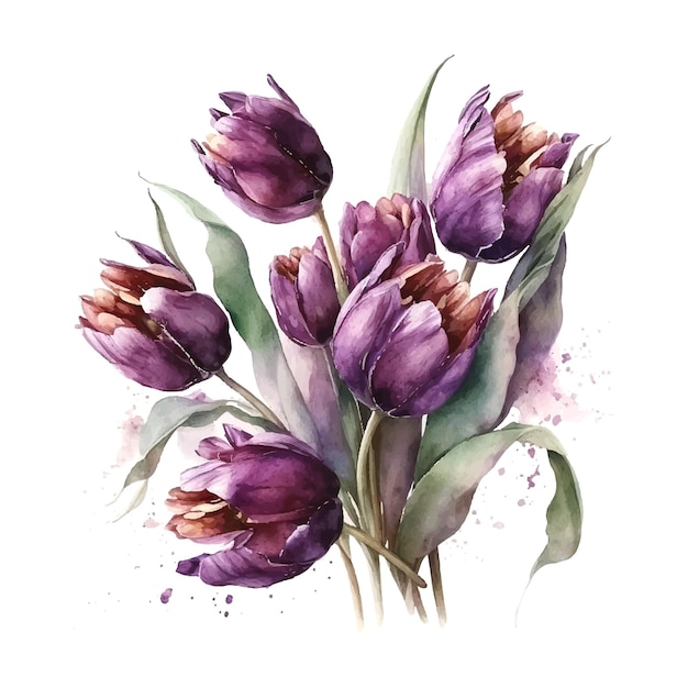 Buquê de flores em um fundo branco isolado ilustrações em aquarela vetor de tulipas roxas