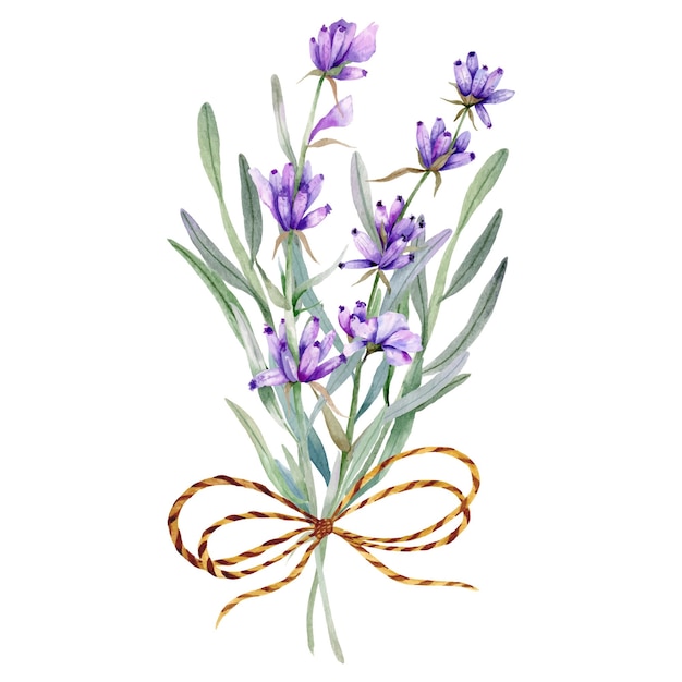 Buquê de lavanda em aquarela