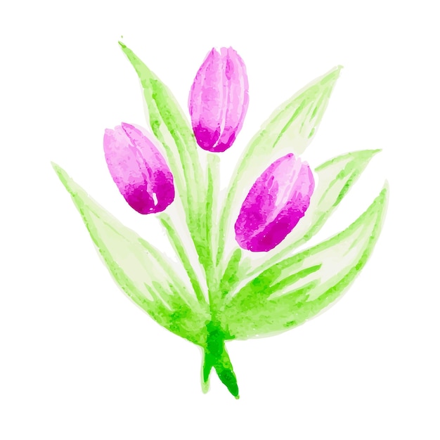 Buquê de tulipas cor de rosa vetor aquarela desenhado à mão