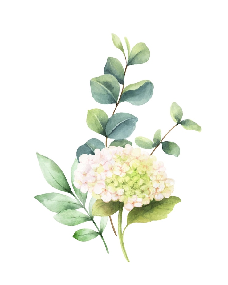 Vetor buquê pintado à mão com vetor aquarela com folhas verdes de eucalipto e rosas brancas