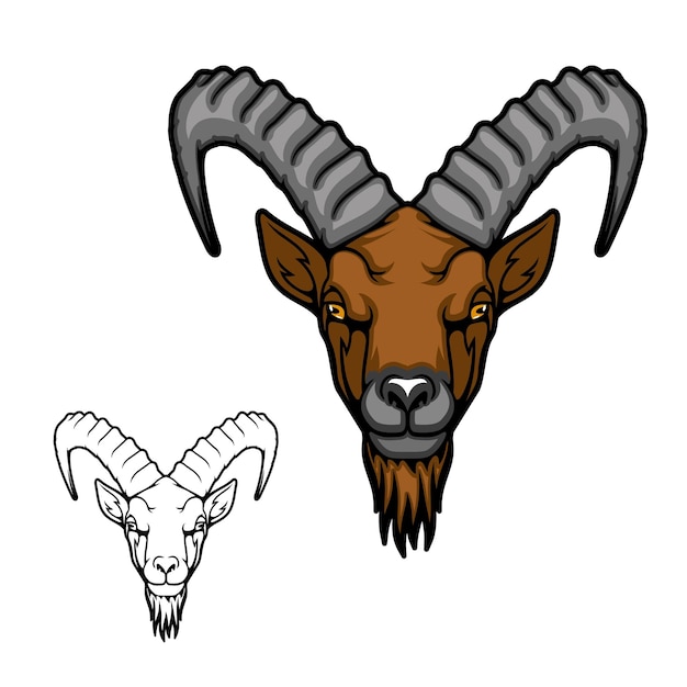 Vetor cabeça de cabra ou íbex com chifres ondulados e barba