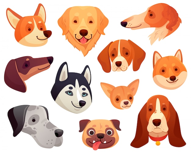 Cabeça de cachorro dos desenhos animados. focinho de animal de estimação engraçado cachorro, sorrindo cara de cachorro e coleção de ilustração de cães