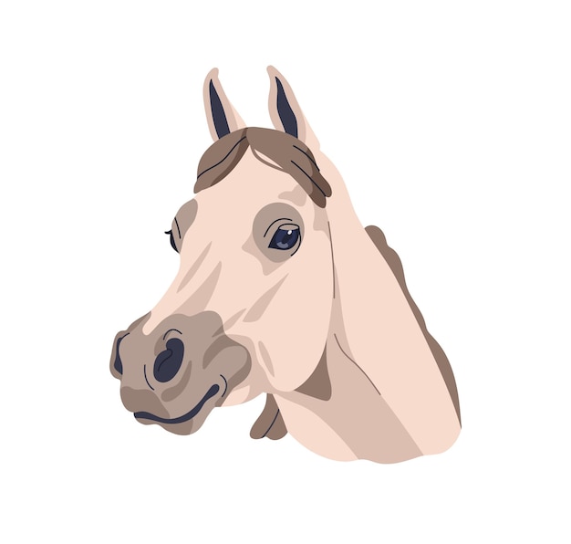 cabeça de cavalo árabe garanhão de raça pura de raça árabe retrato de avatar de cavalo nobre elegante animal gracioso ilustração vetorial gráfica plana realista isolada em fundo branco