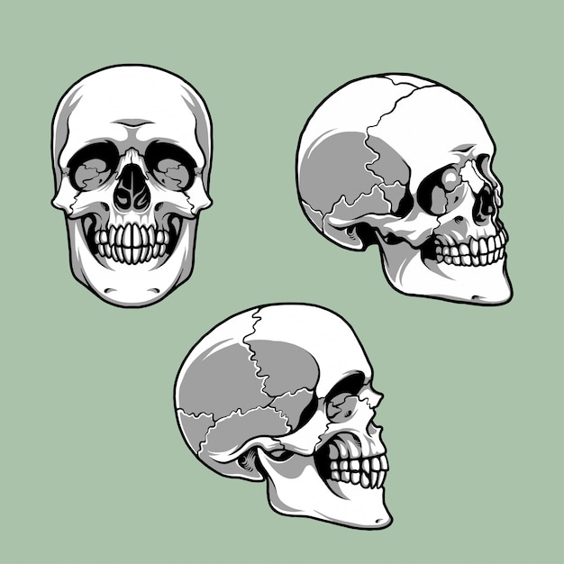 Vetor cabeça de crânio pacote com 3 posições