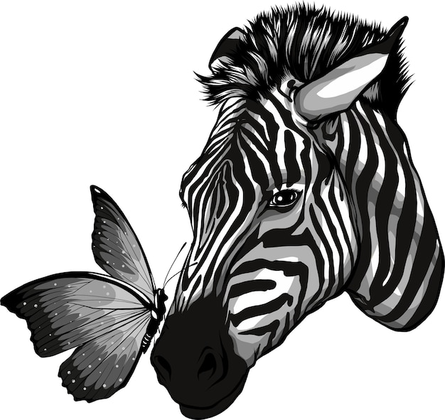 Cabeça de zebra monocromática com animal borboleta