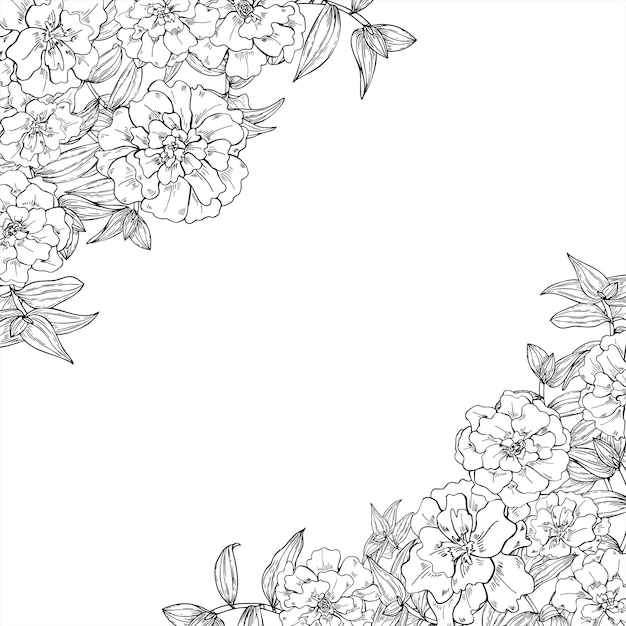 Cabeças de flores de margarida, folhas de tradescantia, arte de linha, quadro quadrado vetorial com espaço vazio para texto, flores em flor, esboço de tinta preta, borda floral para design temático de jardim, embalagem de produtos à base de ervas
