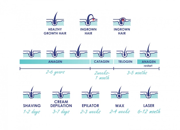 Cabelo crescimento saudável. pelo encravado. fases de crescimento do cabelo. diferentes métodos de depilação. tipos de depilação com ações da linha do tempo