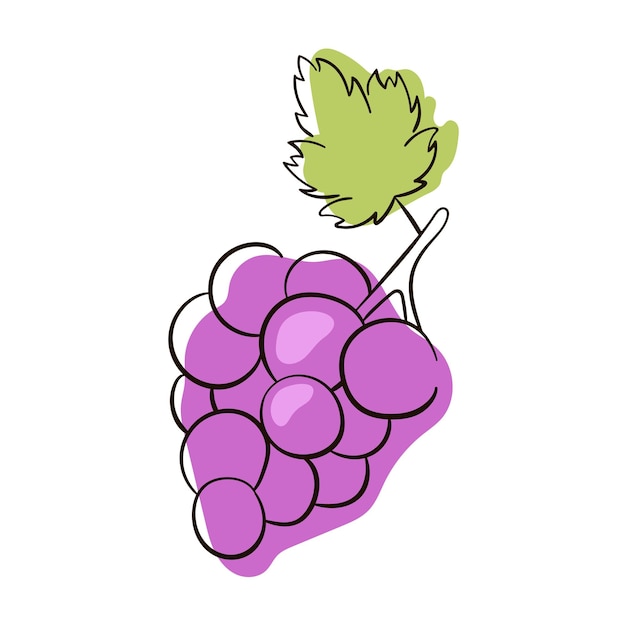 Vetor cacho de uvas para vinho com ícone de vetor plano roxo de folha uvas desenhadas à mão esboçar vetor de uvas