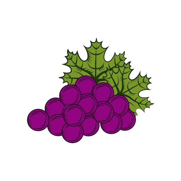 Cacho de uvas