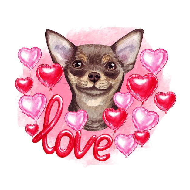 Cachorro chihuahua marrom de dia dos namorados com corações e amor. ilustração em aquarela.