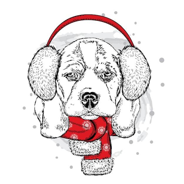Cachorro engraçado em fones de ouvido de inverno. Natal.