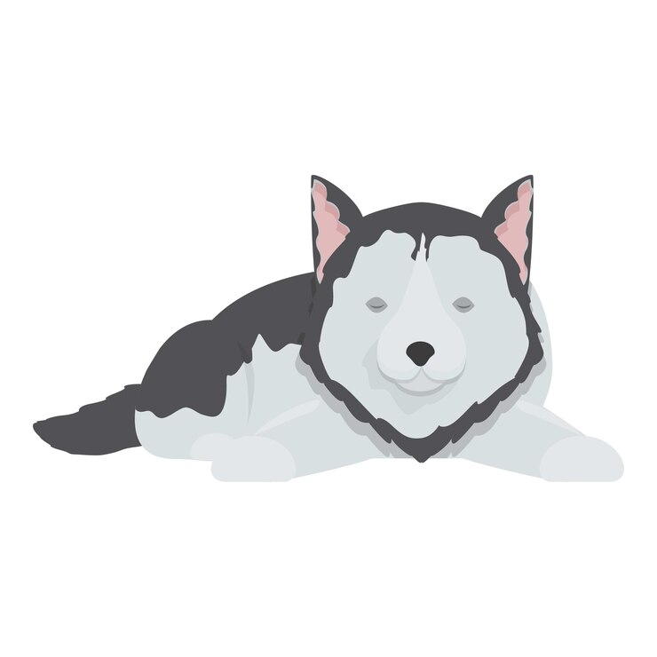 Vetor cachorro husky bonito dormindo e descansando