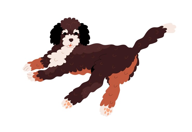 Vetor cachorro labradoodle fofo relaxando, mentindo. cachorrinho goldendoodle feliz com pelagem encaracolada e ondulada. animal canino da raça doodle fofo. filhote de cachorro amigável. ilustração em vetor plana isolada no fundo branco.