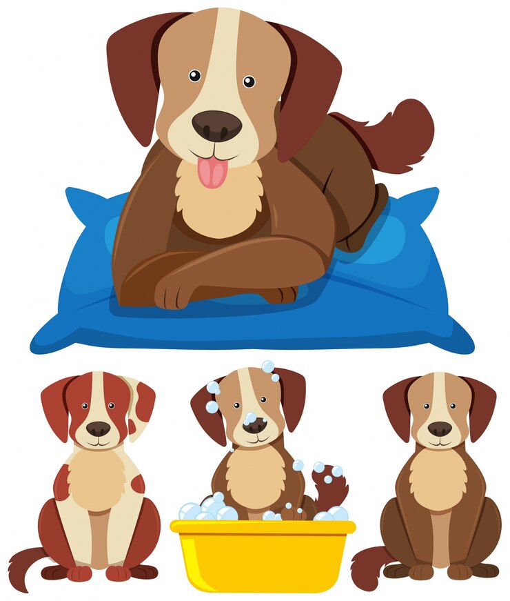 Vetor cachorros bonitos em diferentes ações