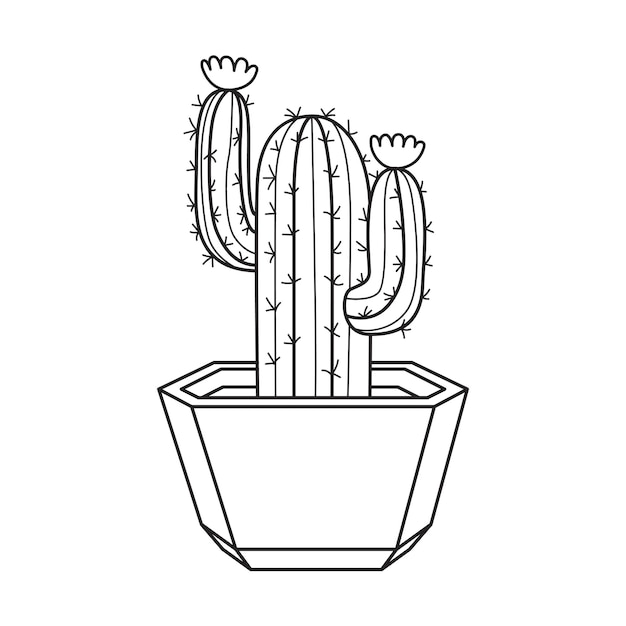 Cacto de contorno vetorial em vaso planta suculenta interior com espinhos e flores cactos para casa e interior doodle botânico linear ilustração preto e branco isolada no fundo branco