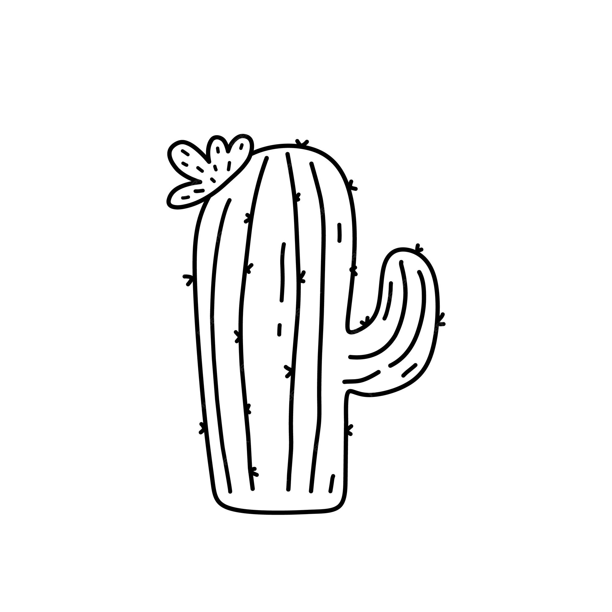 Conjunto De Cactos De Desenho Animado Bonitos Na Floreira Isolados Em Fundo  Branco Ilustração Stock - Ilustração de fundo, potenciômetro: 161587882