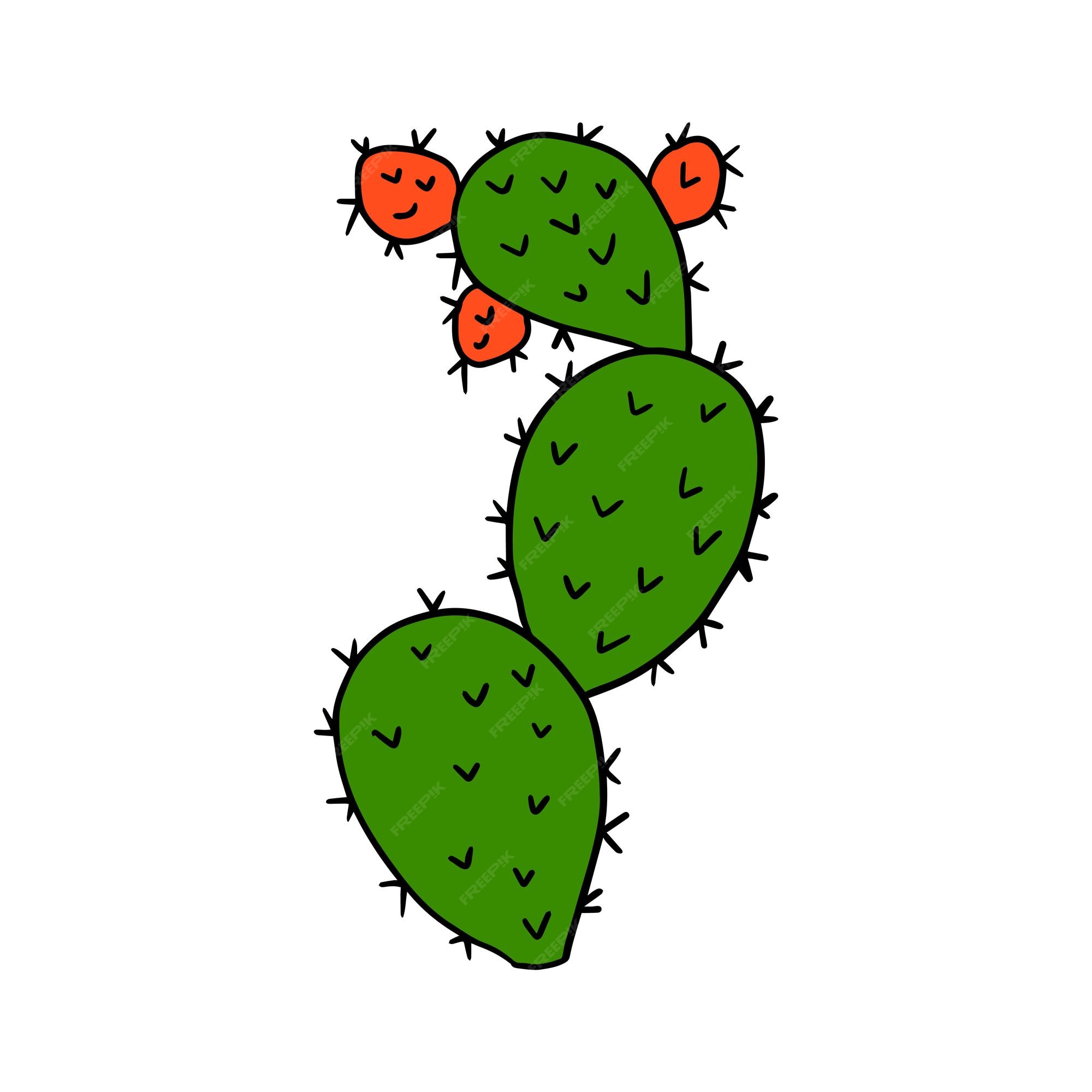 Conjunto De Cactos De Desenho Animado Bonitos Na Floreira Isolados Em Fundo  Branco Ilustração Stock - Ilustração de fundo, potenciômetro: 161587882