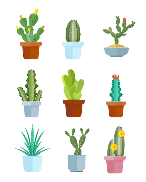 Cacto de desenhos animados, ícones de vetor de plantas do deserto