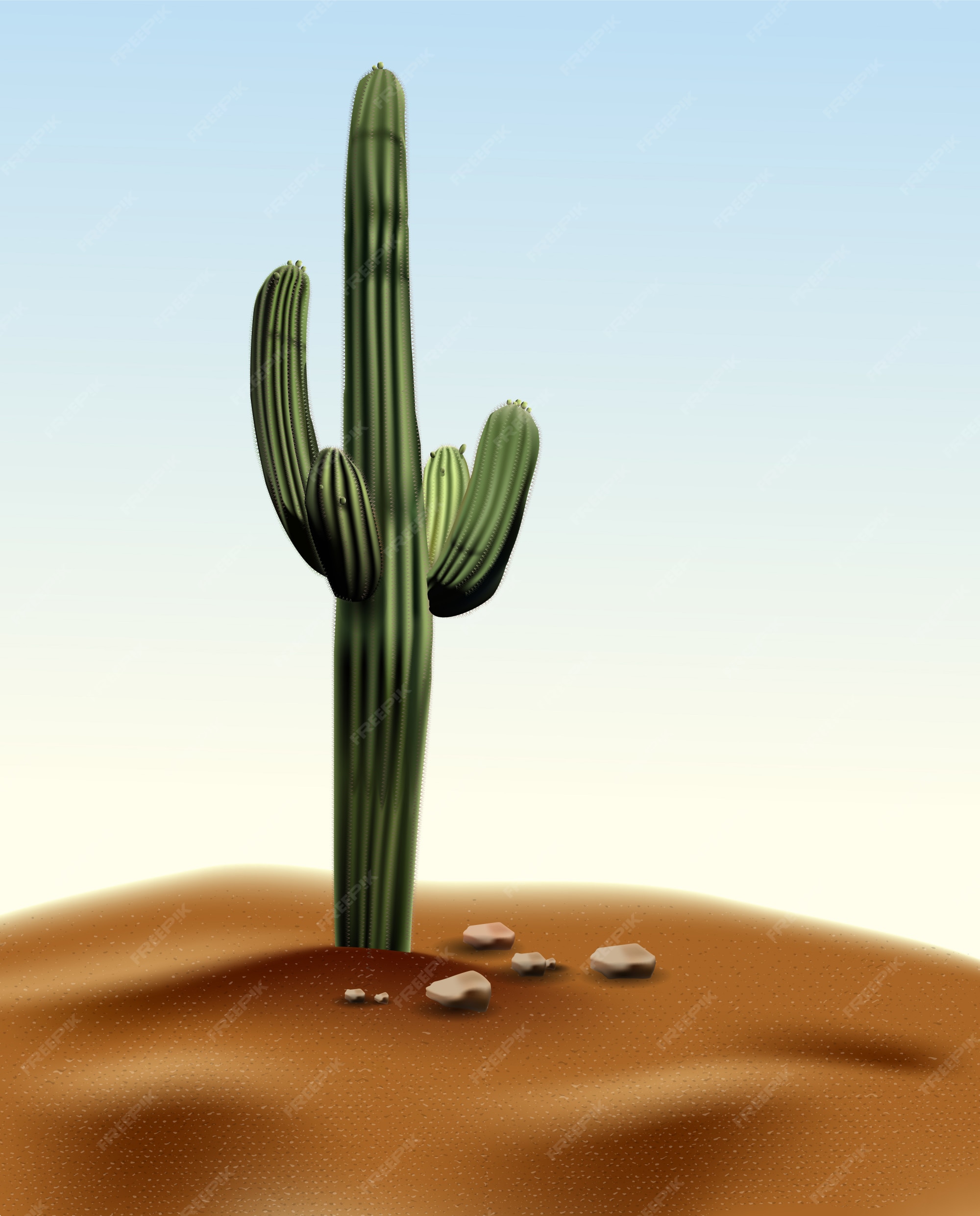 cacto plantas conjunto do deserto entre areia e pedras. realista vetor  ilustração isolado em fundo 26524682 Vetor no Vecteezy