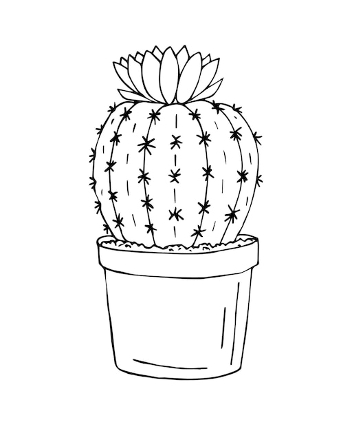 cacto simples desenhado à mão bonito. planta de casa em um clipart de pote.  ilustração de cactos isolada no fundo branco. doodle em casa aconchegante.  6400657 Vetor no Vecteezy