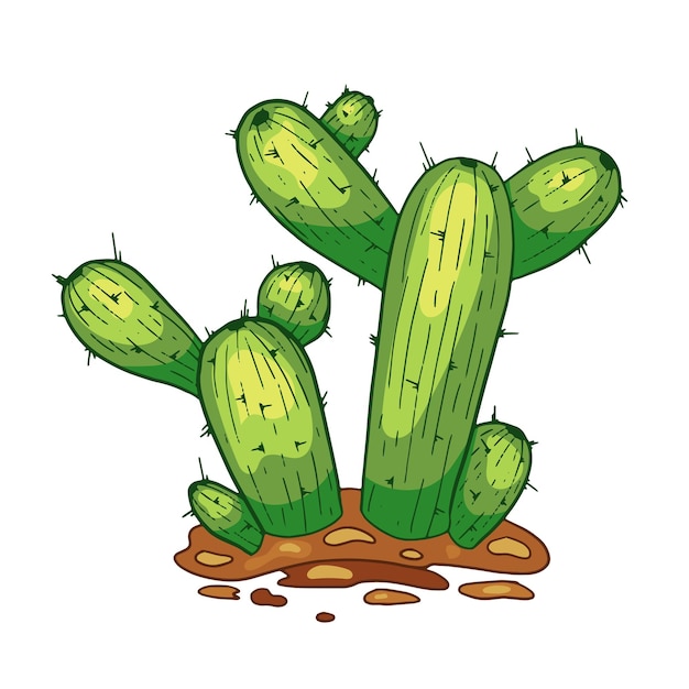 Cacto desenhado à mão vetorial isolado em branco ilustração de estilo de desenho animado flay cacto mexicano planta espinhosa do deserto flor de cactos do méxico e plantas domésticas tropicais