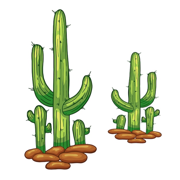 Cacto desenhado à mão vetorial isolado em branco ilustração de estilo de desenho animado flay cacto mexicano planta espinhosa do deserto flor de cactos do méxico e plantas domésticas tropicais