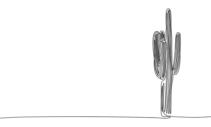 Vetor cacto longo como um banner de desenho de linha design de minimalismo minimalista desenhado à mão contínuo isolado