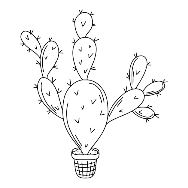 Cactus marker doodles  Cactos desenho, Arte com cactos, Pintura de cacto