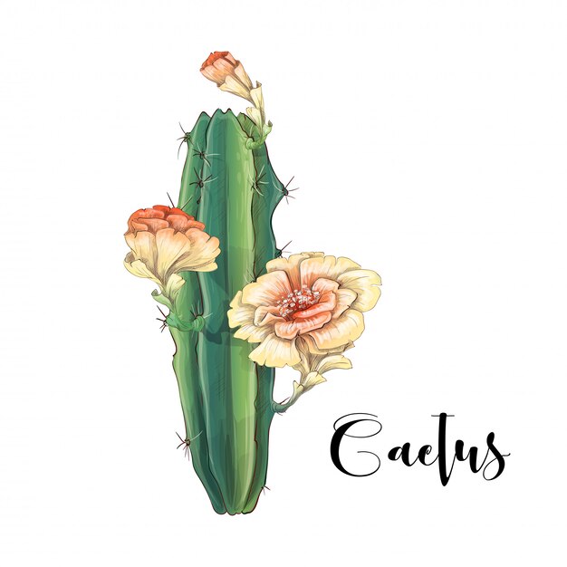 conjunto de cactos em estilo de linha mono na moda - art déco. pode ser  usado como selo, cartão postal ou impressão. ilustração vetorial esboçada  de cactos. flores do deserto sem vasos.