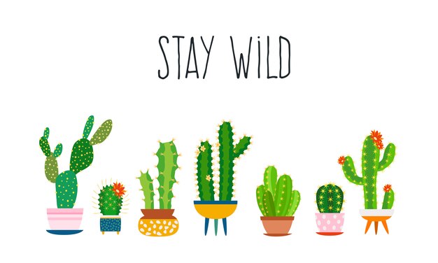 Cacto. Plantas suculentas cactos cactos exóticos esboçar slogan da tipografia na moda