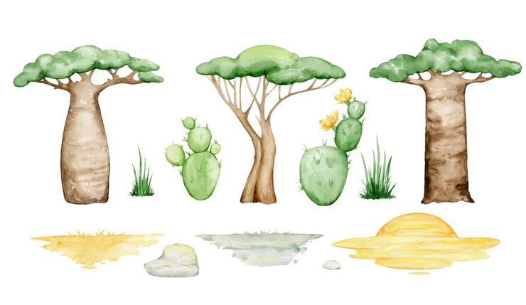 Cactos baobás árvores fundo de grama pedras Conjunto de aquarela plantas e paisagens da África Conjunto de aquarela