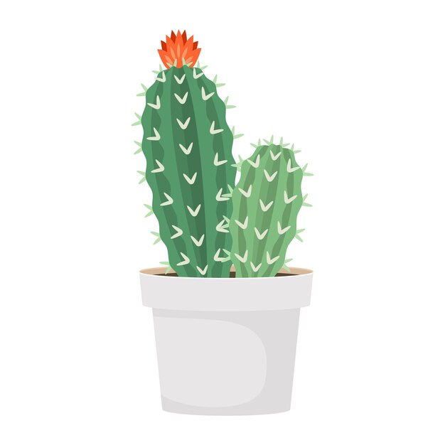 Cactos e suculentas em ilustração em vetor de desenho colorido doméstico de pote