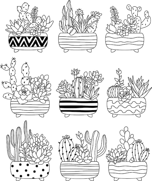 Plantas Da Casa Arranjadas No Círculo, Ilustração Desenhada À Mão Do Vetor  Panelas, Cactos E Suculentas Bonitos Da Planta Da Casa. Isolado Item Do  Desenho Animado No Estilo Escandinavo Royalty Free SVG