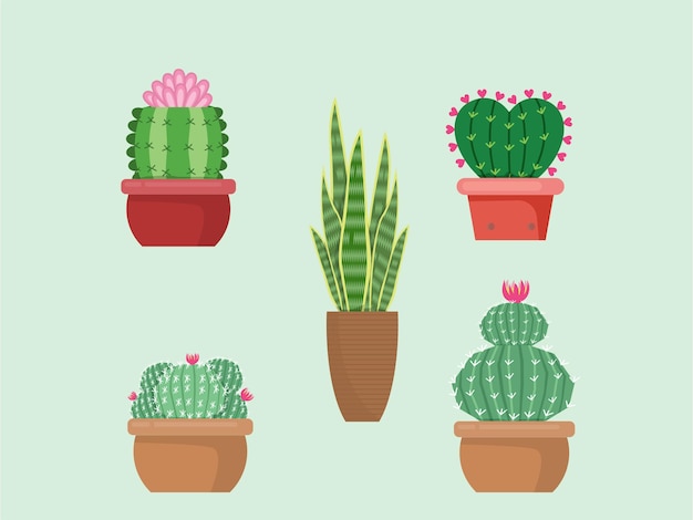 Cactos verdes cactos brilhantes flores isoladas em um ilustrador vetorial de backgrounddesign branco