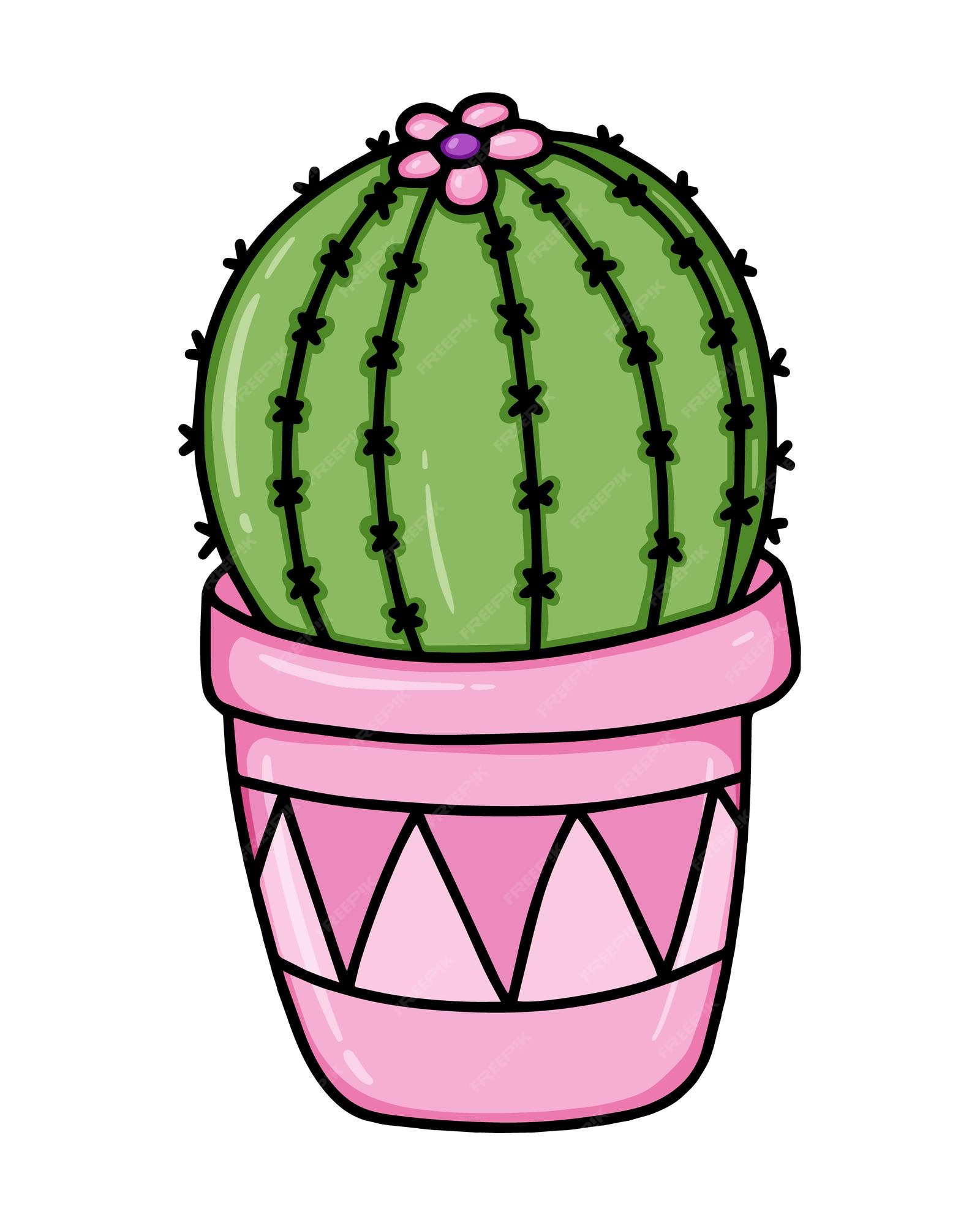 Ilustração Realista Do Vetor De Uma Planta Doméstica. Cactus Florescente  Suculento Num Vaso Ilustração do Vetor - Ilustração de desenho, cacto:  214390555