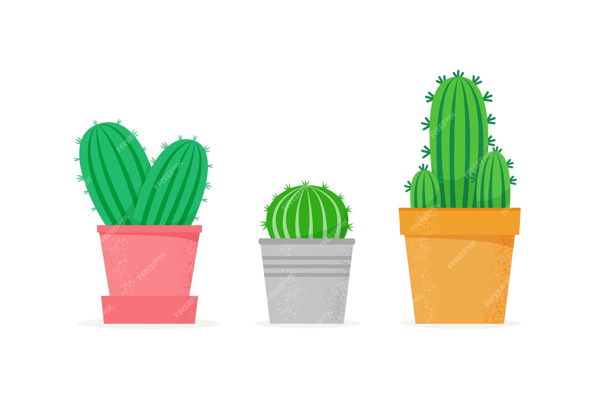 Cactus definido em um estilo simples. diferentes cactos caseiros em vasos  de flores. coleção de suculentas da casa | Vetor Premium