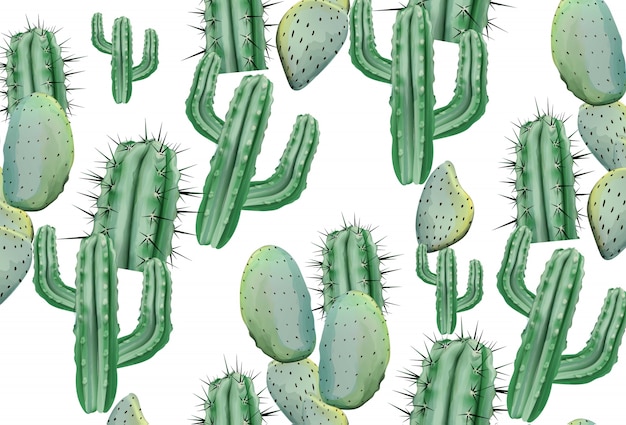 Cactus pattern texture on white background