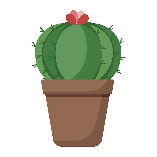 Cactus Pot