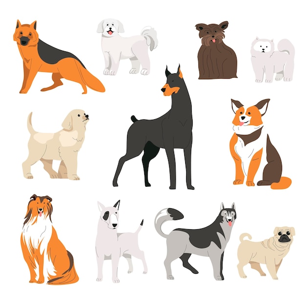 Cães diferentes raças corgi e vetor de Doberman
