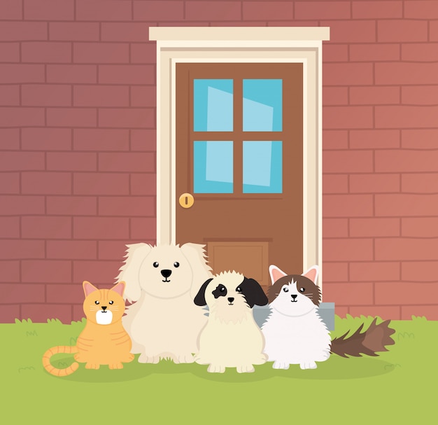 Cães e gatos sentados fora de casa