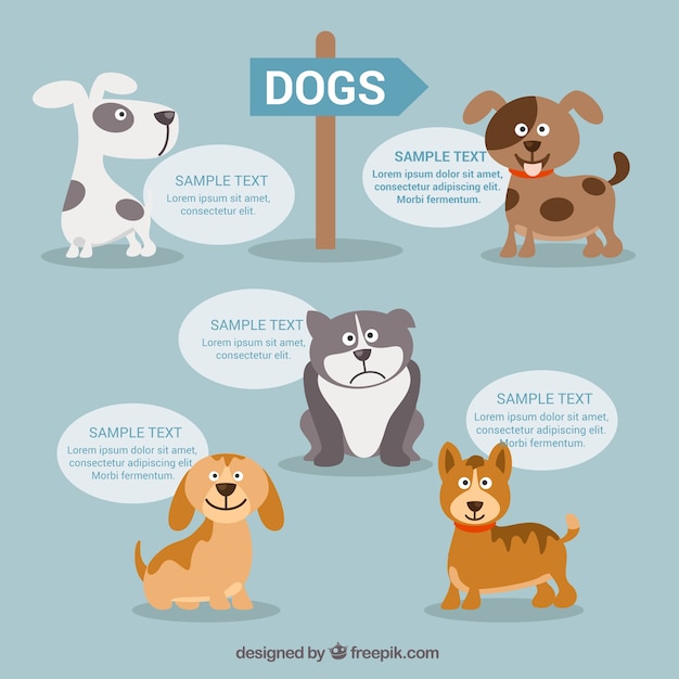 Vetor cães infográfico