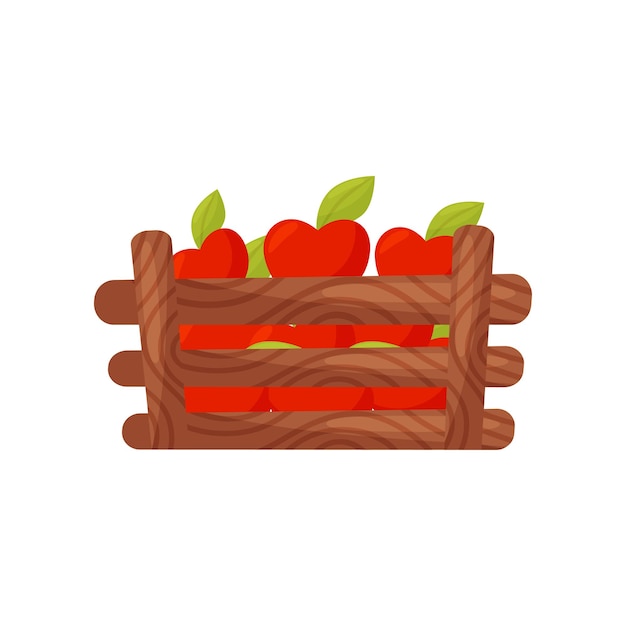 Caixa de madeira cheia de maçãs vermelhas maduras Frutas frescas e saborosas Colheita de jardim Produto agrícola orgânico Alimentos naturais Elemento gráfico para livros infantis Ilustração vetorial plana isolada em fundo branco