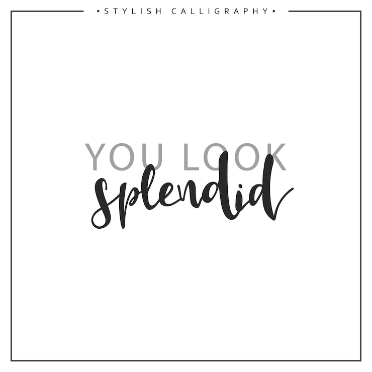Vetor caligrafia isolada na frase de inscrição de fundo branco, você parece esplêndido.
