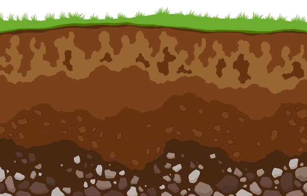 Camadas do solo Horizontes superficiais camada superior da estrutura da terra com mistura de minerais de matéria orgânica Sujeira e camada subterrânea de argila sob grama verde