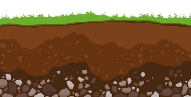 Camadas do solo Horizontes superficiais camada superior da estrutura da terra com mistura de minerais de matéria orgânica Sujeira e camada subterrânea de argila sob grama verde