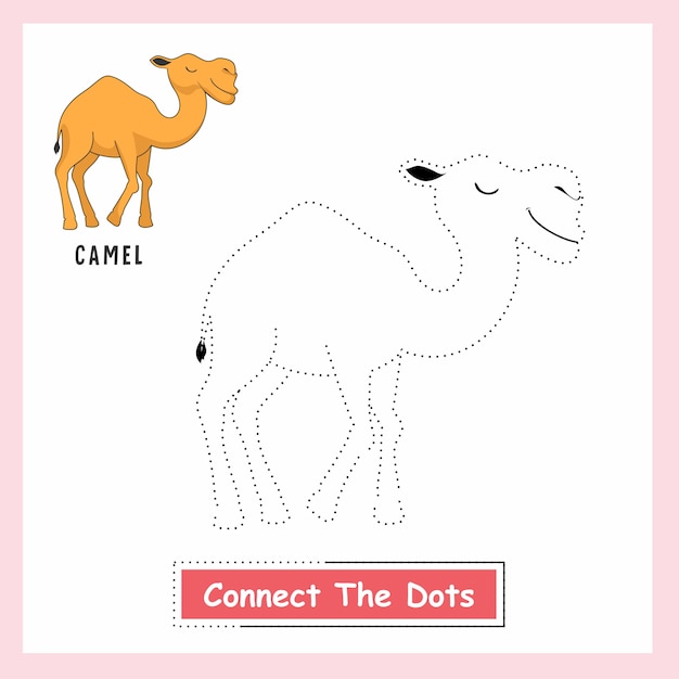 Camel connect the dots