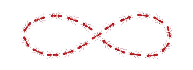 Caminho de formigas moldando sinal de infinito rastro de formigas isolado em fundo branco ilustração vetorial