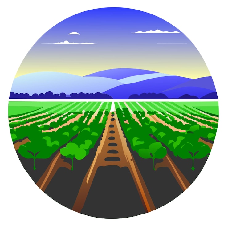 Vetor campo de agricultura biológica com culturas em linhas ilustração vetorial plana 2